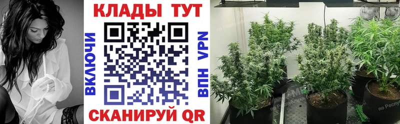 Виды наркотиков купить Дно МАРИХУАНА Кокаин ГАШ Мефедрон