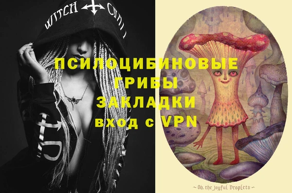 прущая мука Надым