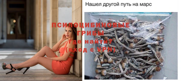прущая мука Надым