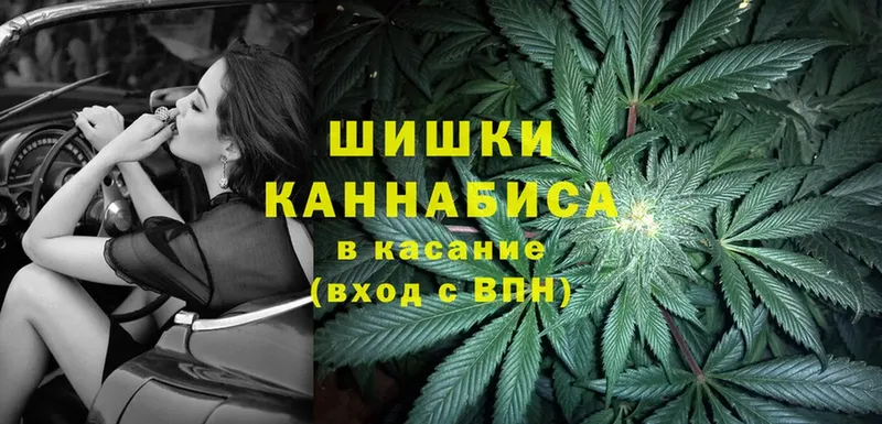 Каннабис SATIVA & INDICA  Дно 